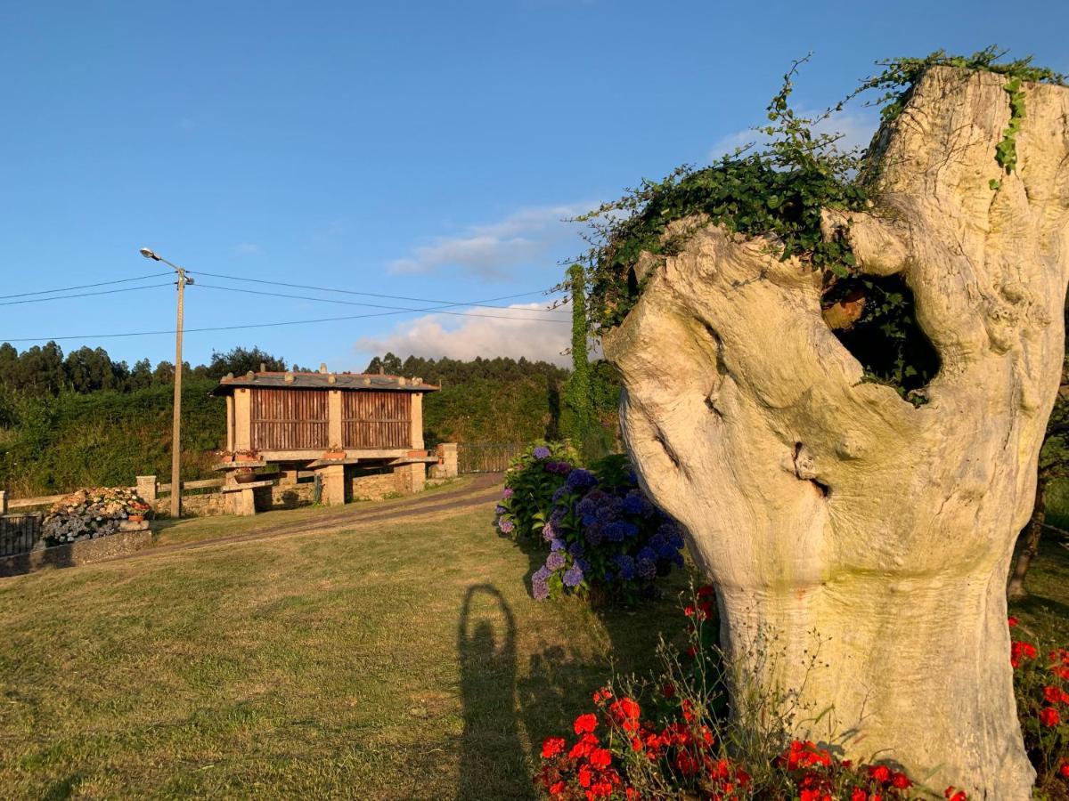 Casa Pereiro Playa De Esteiro Viveiro Zewnętrze zdjęcie